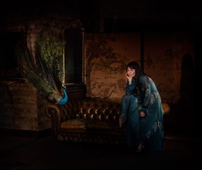hm-peacock-scaled.jpg