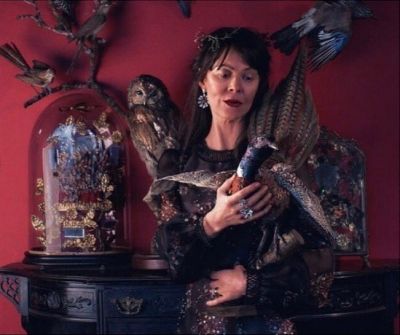 hm-peacock2.jpg